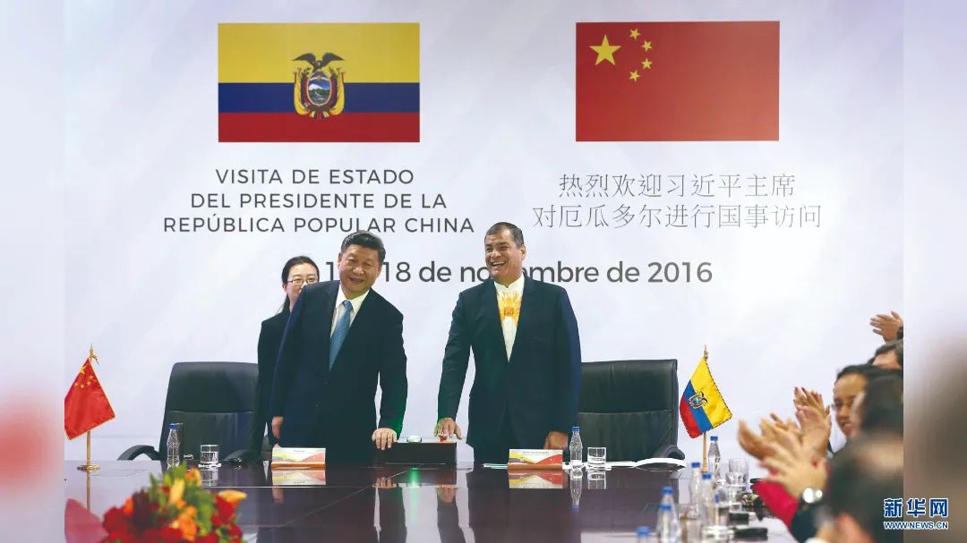 lewin乐玩官网-相信品牌力量