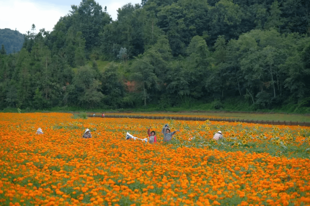 lewin乐玩官网-相信品牌力量