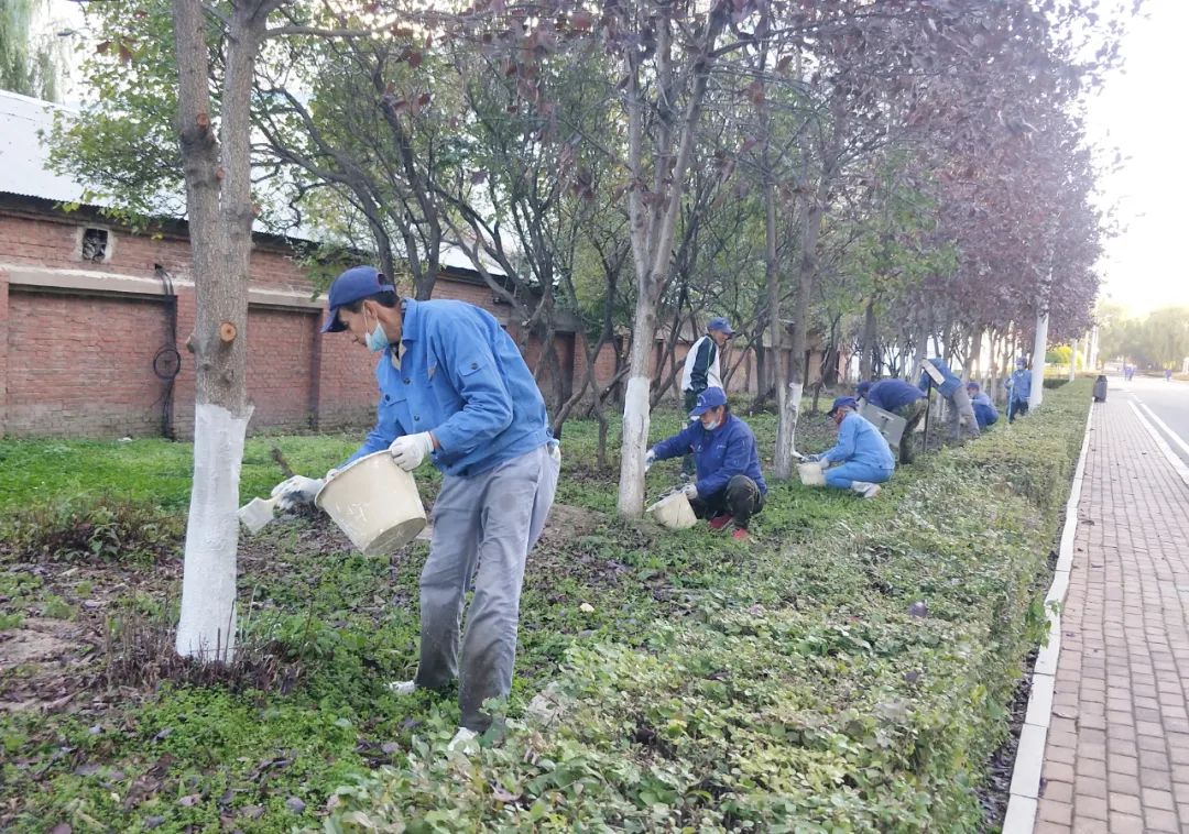 lewin乐玩官网-相信品牌力量