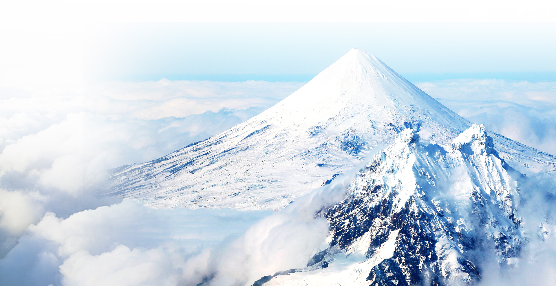 lewin乐玩官网-相信品牌力量